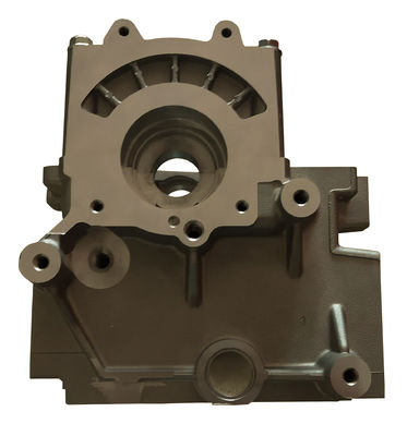 Z20S Z20S1 Z20DM Z20DMH Cylinder Head for GM OPEL Antara CHEVROLET Cruze Captivia Epica Nubira Lacetti 2.0L 8V Engine 96440128 96440132